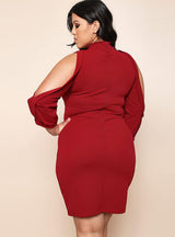 Black Plus Long Sleeve Knit Dress