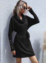 Pile-collar Long Sleeve Sweater Dress