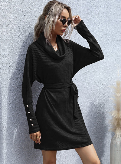 Pile-collar Long Sleeve Sweater Dress