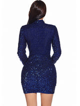 Retro Long-sleeved High Neck Sequined Dress