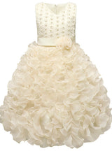 Girls Kids Tutu Clothes Flower Girl Wedding Evening Dress