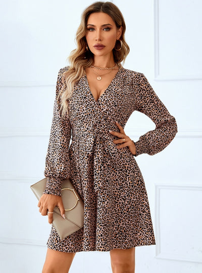 Long Sleeve Deep V-Neck Leopard Print Dress