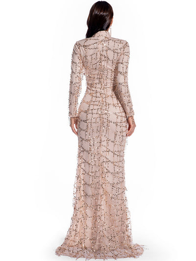 Retro Long Sleeve Perspective Sequined dress