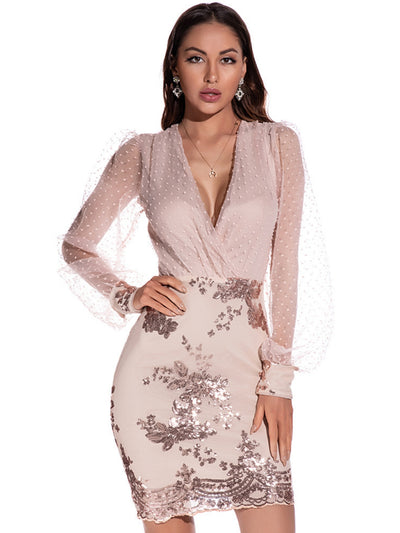Sexy Mesh Long Sleeve Sequined Dress