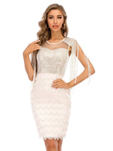 Sexy Fringed Sequined Dress