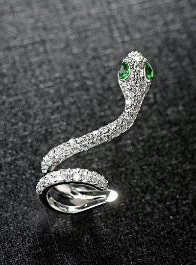 Snakehead 925 Sterling Silver Needle Zircon Earrings 