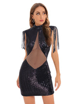 Sexy Perspective Mesh Stitching Sequined Dress