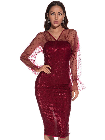Sexy Retro Mesh Long Sleeve Sequined Dress