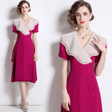 V neck Vintage Flounce Lapel Dress