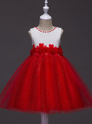 Baby Girl Dress Kids Dresses for Girls Children