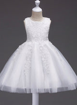 Baby Girl Flower Bowknot Christening Gown Formal