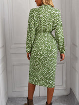 Long Sleeve Printed dress