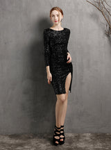 Sexy Sequins Long Sleeve Party Dress