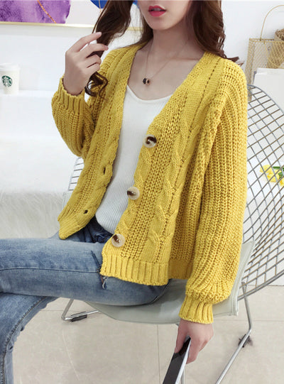Button Long Sleeve Fashion Woman Small Sweaters
