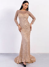 Long Sleeve Sexy Round Neck Perspective Sequins Party Dres