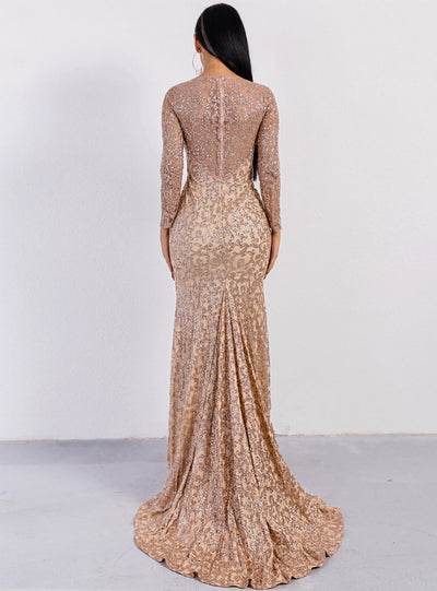 Long Sleeve Sexy Round Neck Perspective Sequins Party Dres