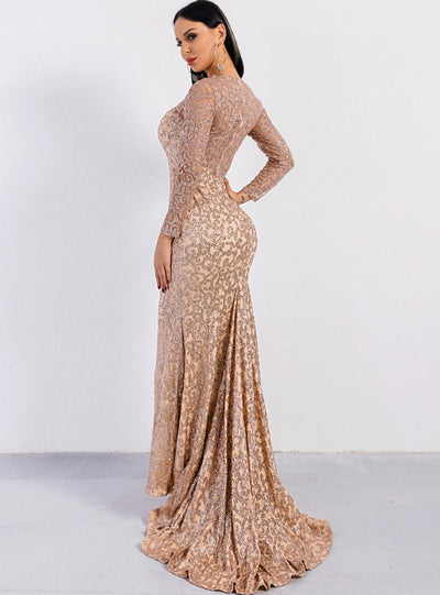 Long Sleeve Sexy Round Neck Perspective Sequins Party Dres