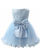 Baby Girl Christening Gown Infant Princess Dress