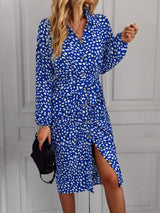 Long Sleeve Printed dress